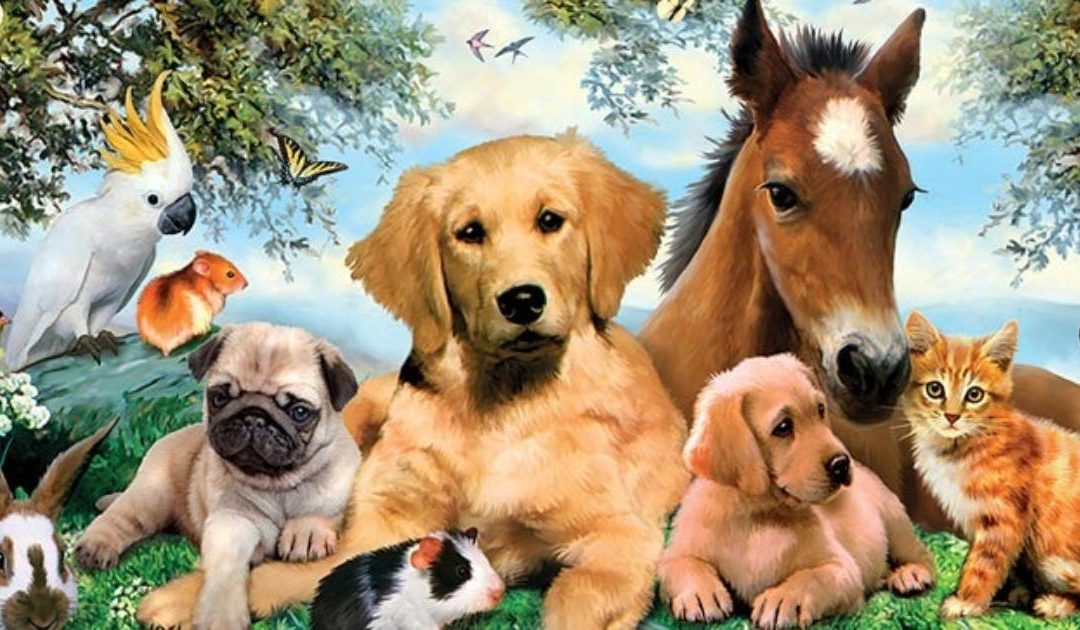 Pet Service at St. Andrew’s, Great Staughton